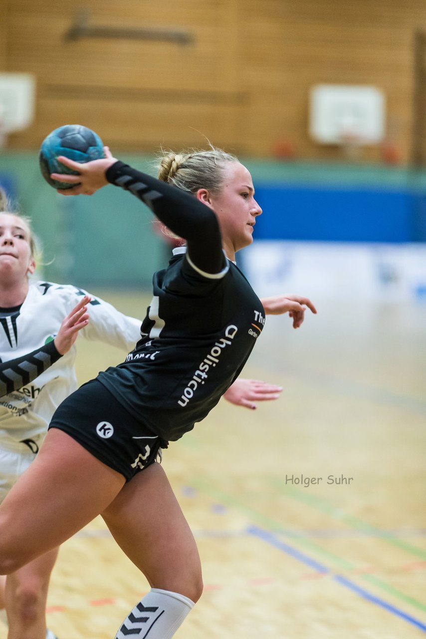 Bild 197 - C-Juniorinnen SVHU - HSD Wagrien : Ergebnis: 30:15